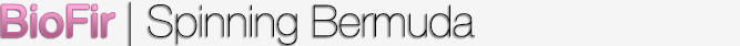 BioFir Spinning Bermuda
